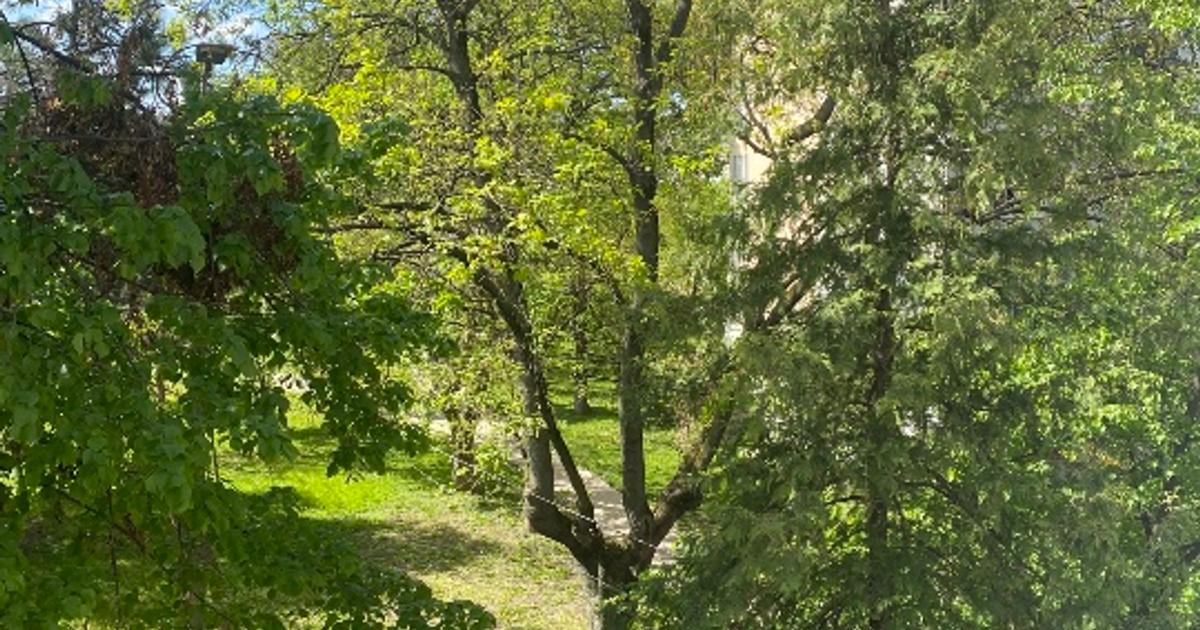 Proprietar  , vând Apartament ultracentral  complet renovat  gata pentru mutare