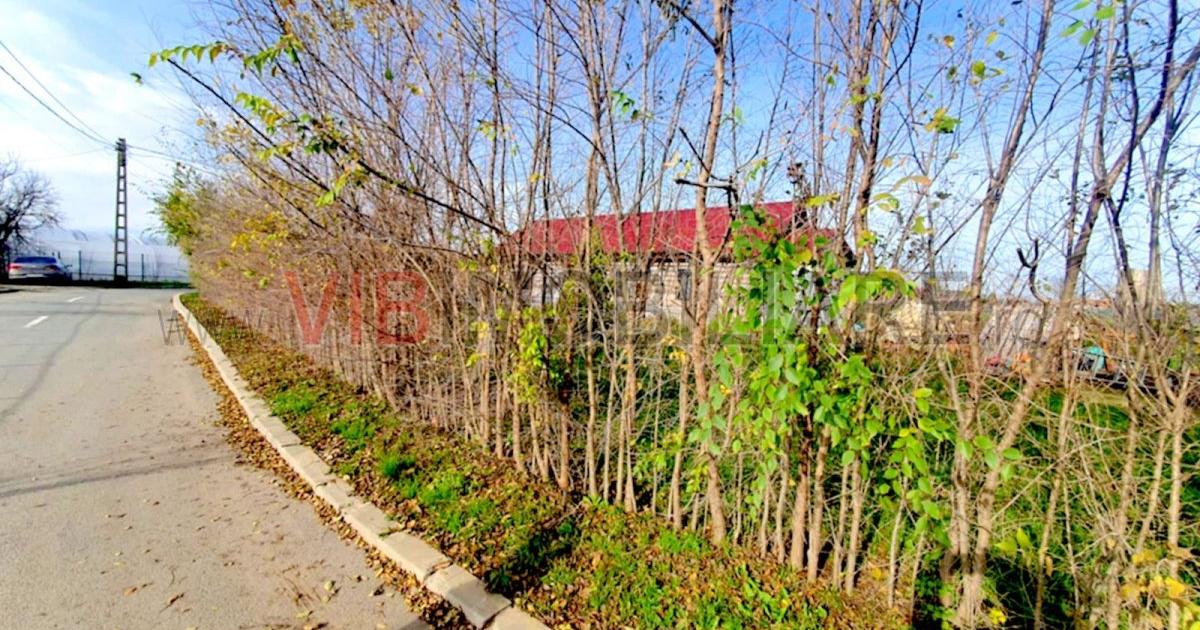Casa cu teren generos in Mosneni – oportunitate excelenta pentru locuinta sau in