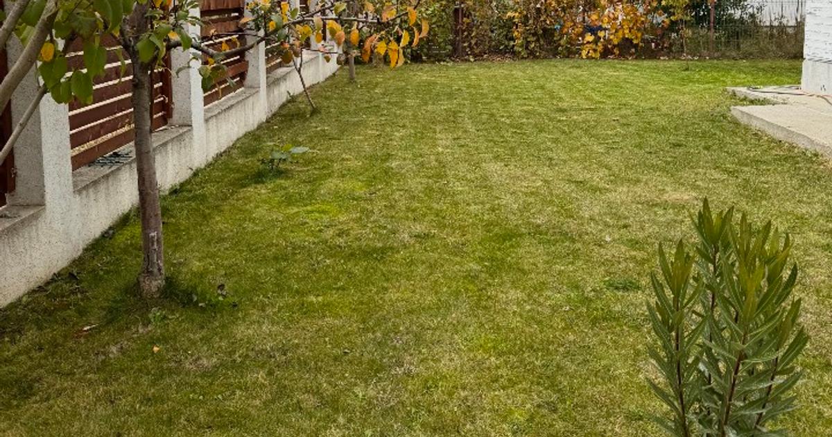 Casă modernă de închiriat – Săbăreni | 3 camere | curte proprie | aproape de Buc