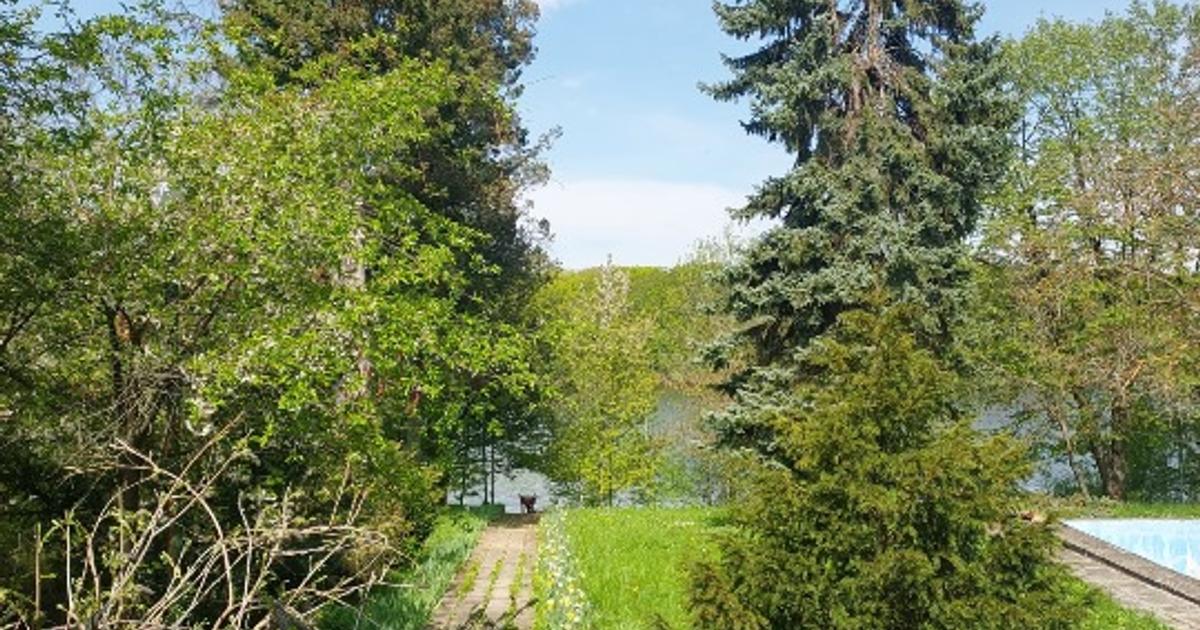 Casă individuală 304 mp cu 5 camere în Snagov