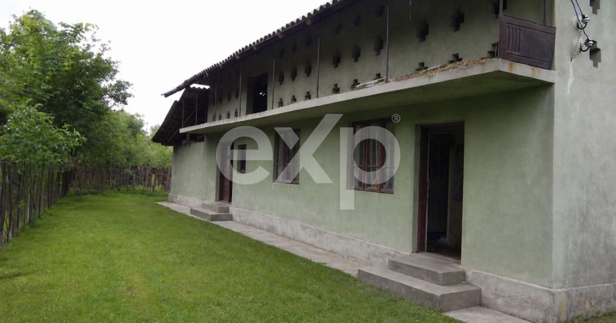 Casă la țară cu teren 3940 mp și livadă – zonă liniștită