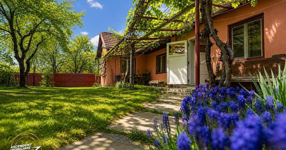 Casa in inima statiunii Covasna, cu gradina, vie si pomi fructiferi