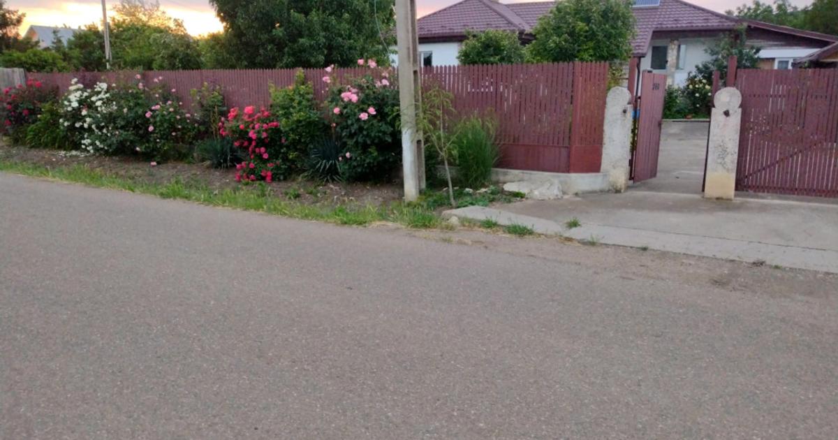 Casă cu grădină și livadă - la doar 10 minute de autostradă