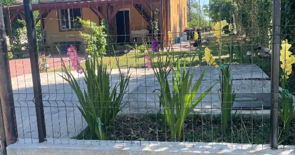 Vand casa cu teren in sat Prunaru,com Bujoreni,Jud Teleorman