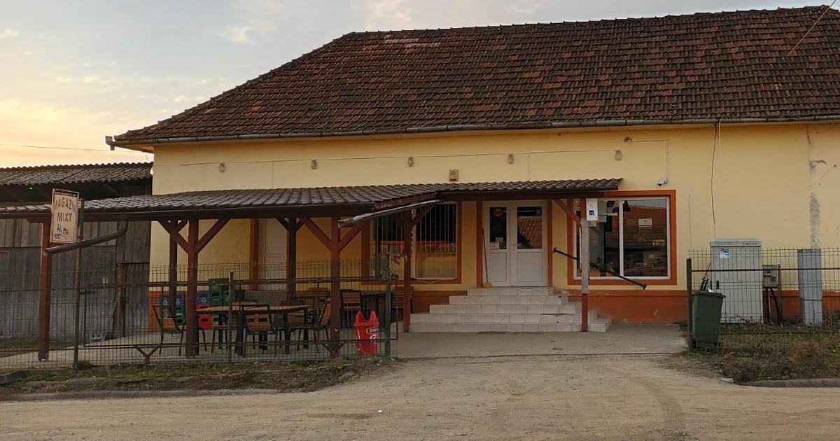 Casă individuală 12,345,620 mp cu 2 camere în Sâg