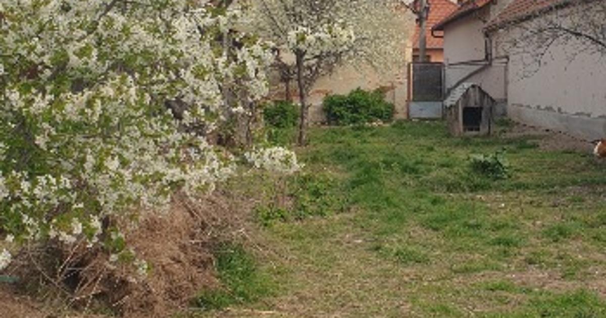 Casă individuală 62 mp cu 2 camere în Sebeș
