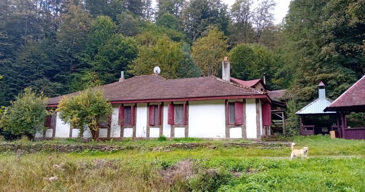 Casa de vacanta Crivaia, langa Valiug –locatie idilica, ideala pentru timp liber