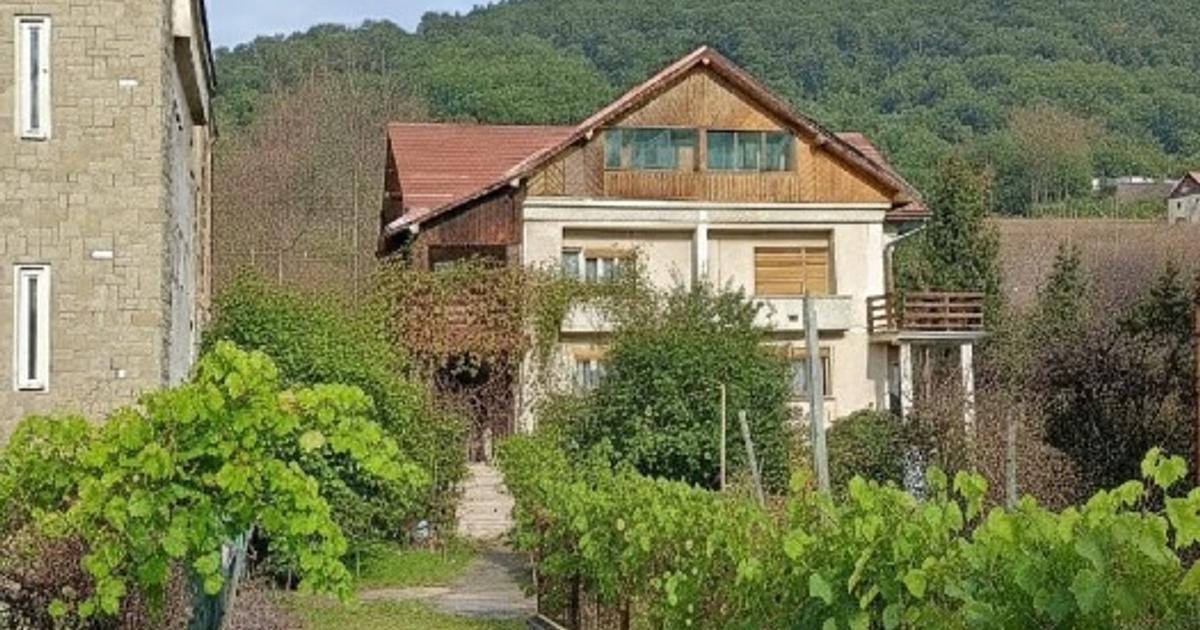 Vila zona Victor Babes Iuliu Maniu U Nord (anuntul proprietarului)