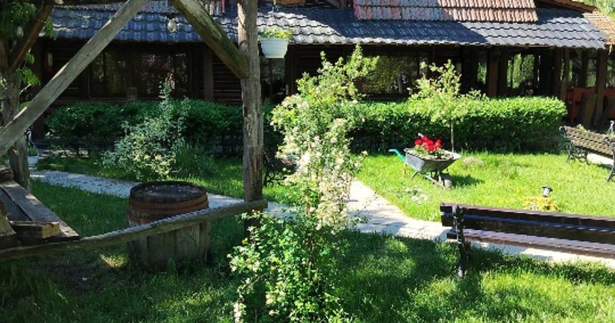 Lac de agrement pentru pescuit – Proprietate completă, 8,1 ha | De vânzare