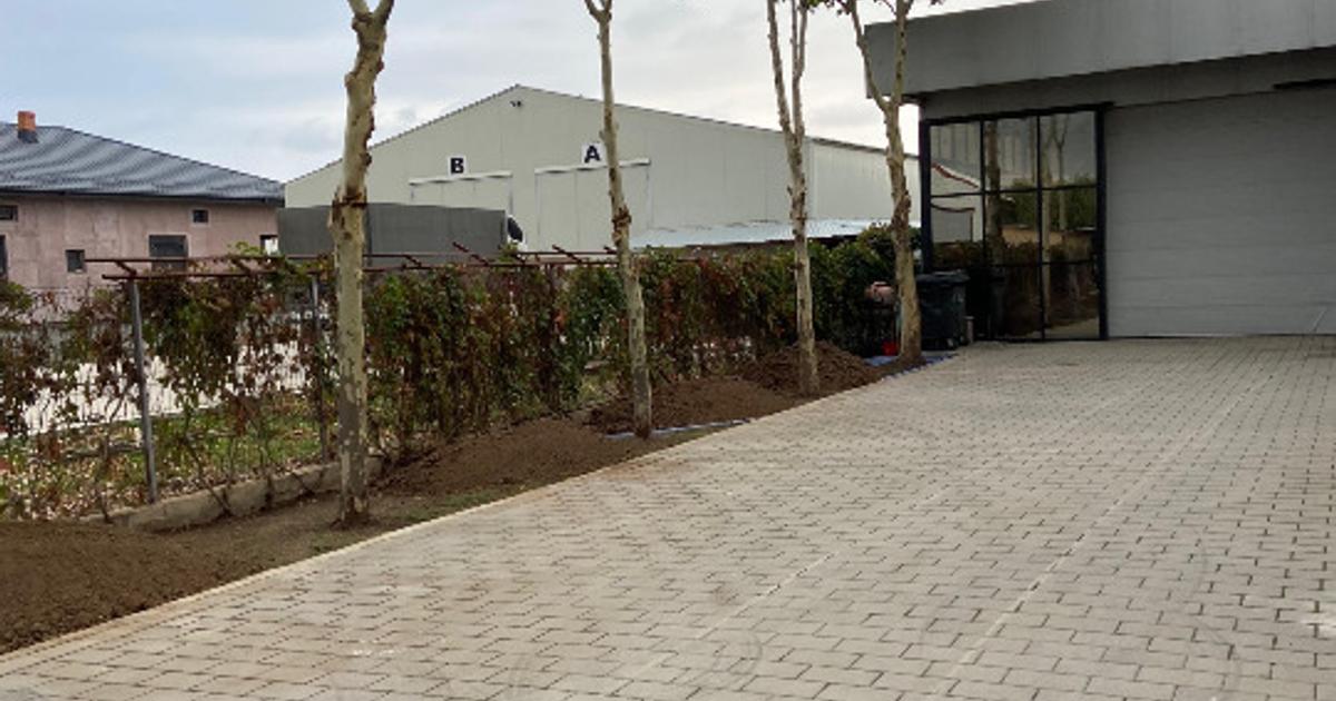 Închiriere Hală / Spațiu Comercial 300 mp – Showroom, Depozit, Producție