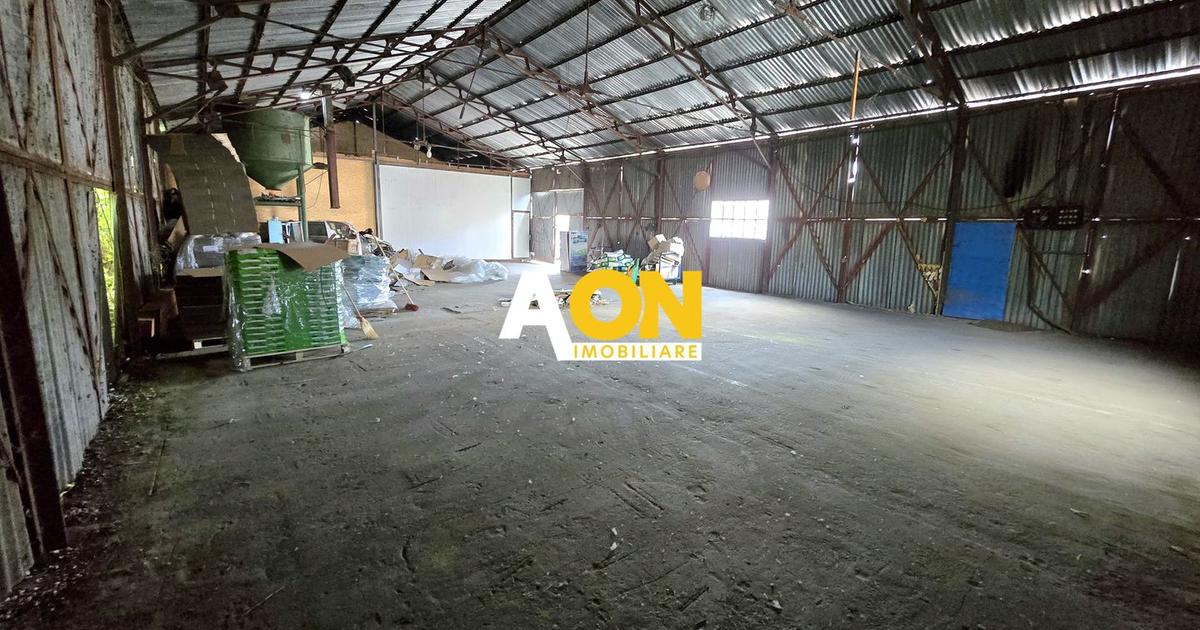 Spațiu industrial 180 mp în zona Ampoi 1, Alba Iulia