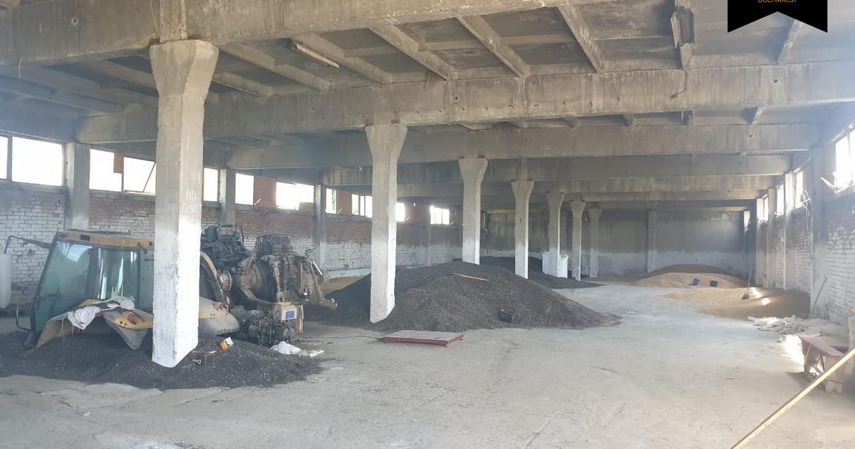 Buzau - Vernesti / Spatiu Industrial + Hale / Toate Utilitatile