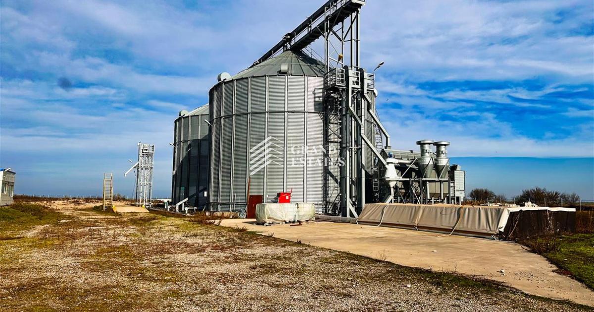 Siloz - Baza receptie si depozitare cereale 3000 tone | 2 ha teren |
