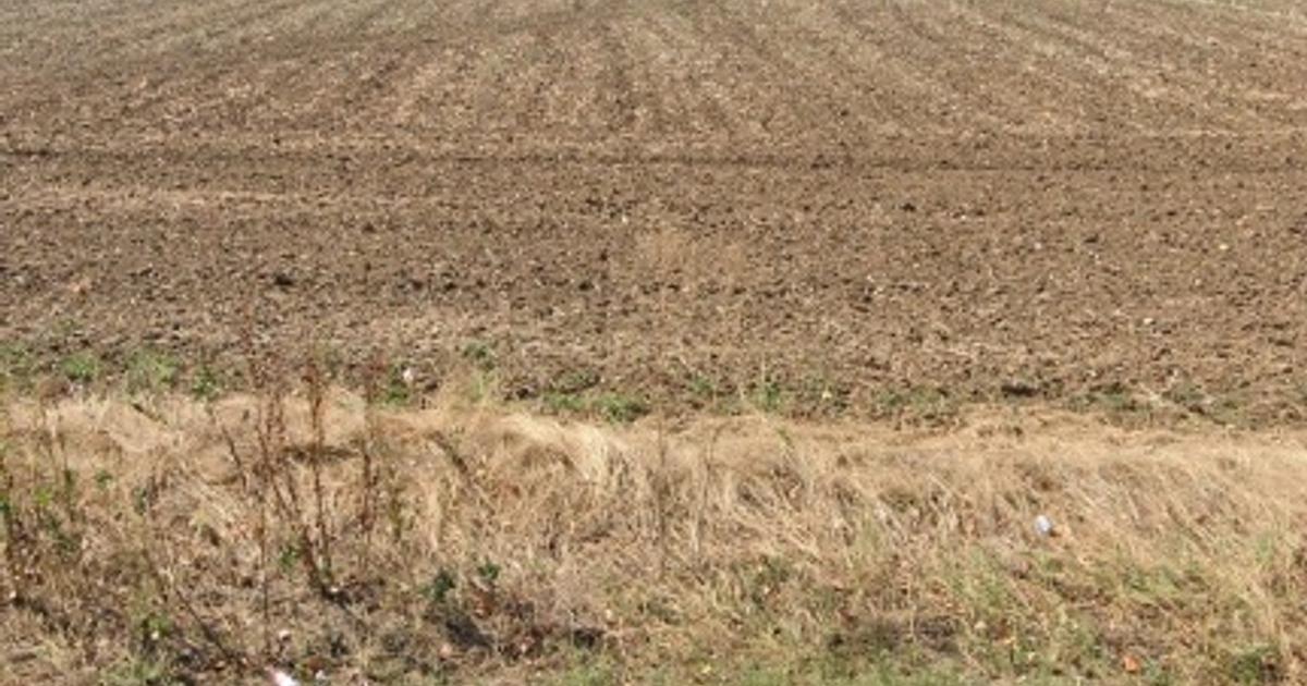 Teren agricol extravilan de 15521 mp, în Belciugatele