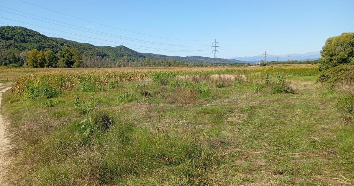Teren 5 ha arabil Mihaesti – cadastru, intabulare, acte la zi