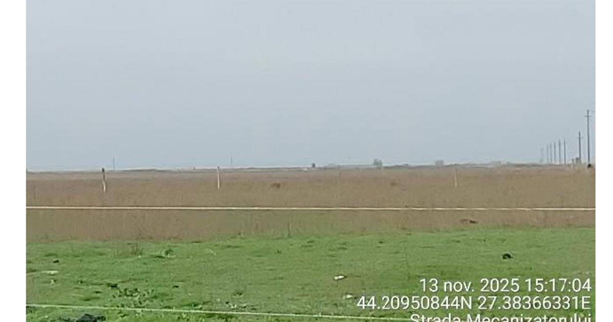21 Terenuri extravilane situate in Judetul Calarasi, Com Modelu si Com Cuza voda