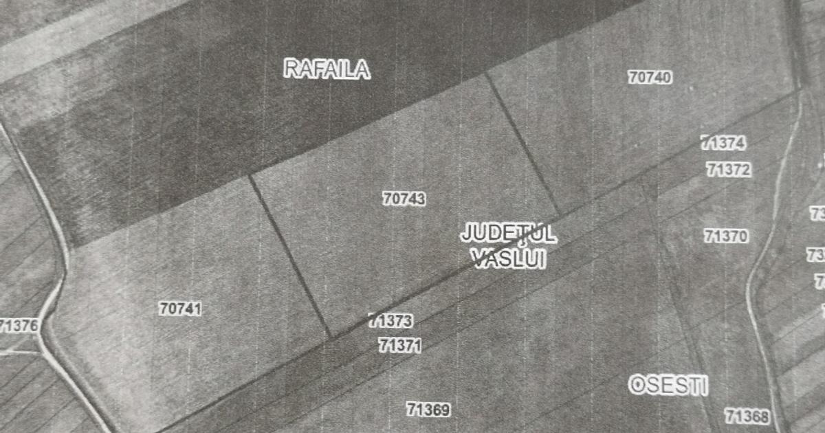 Teren agricol extravilan de 91500 mp, în Rafaila