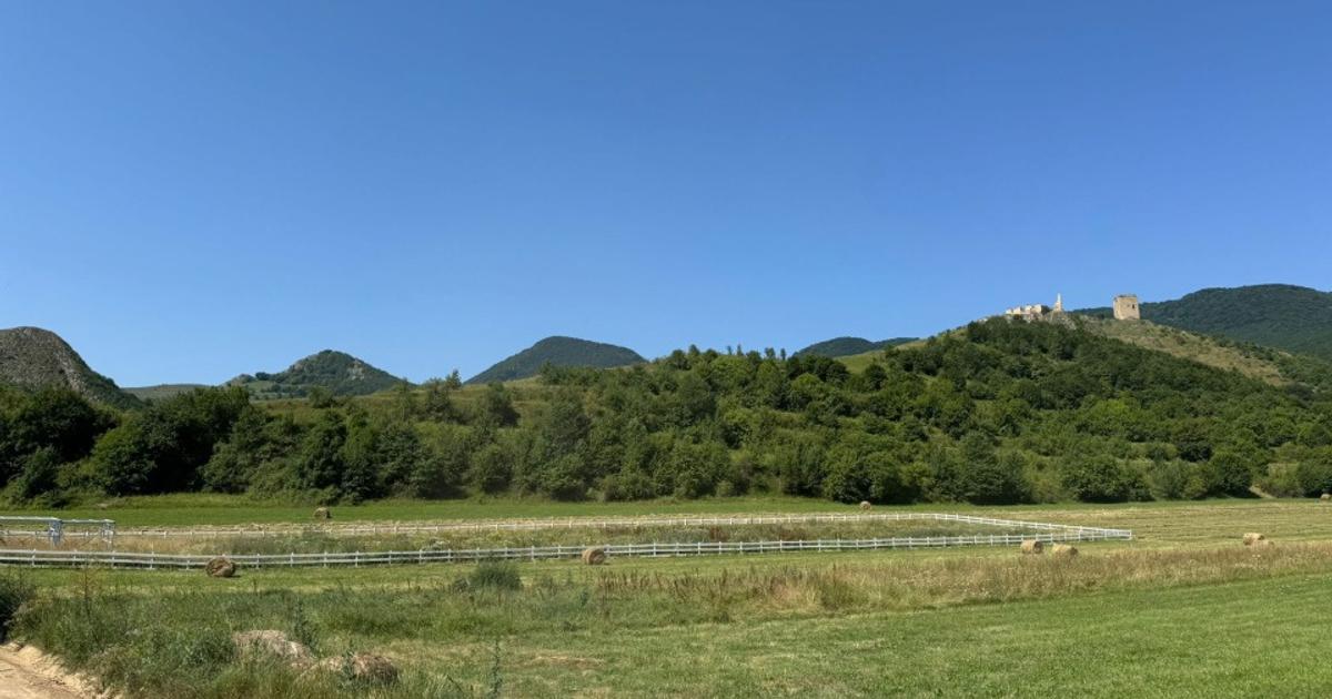 Teren 9000 mp+ platforma betonata 630 mp, Rimetea | Oportunitate dezvoltare