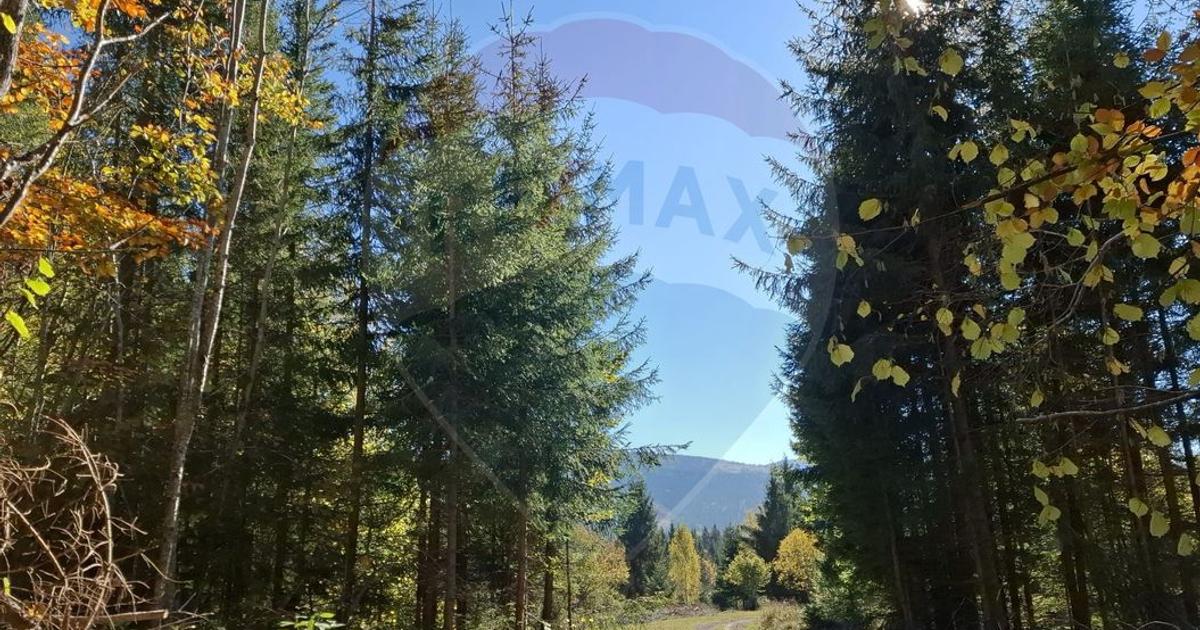 Vânzare teren extravilan, 4 ha pădure, zona turistică Liban, Harghita