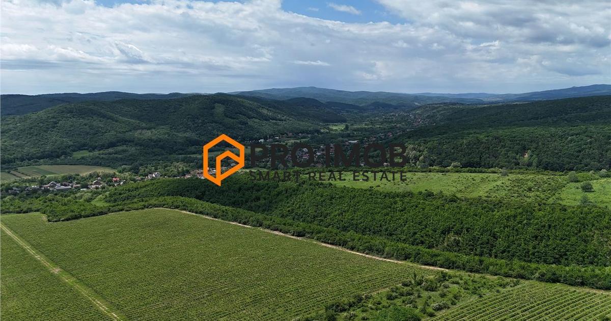 Teren agricol extravilan de 7992 mp, în Vernești