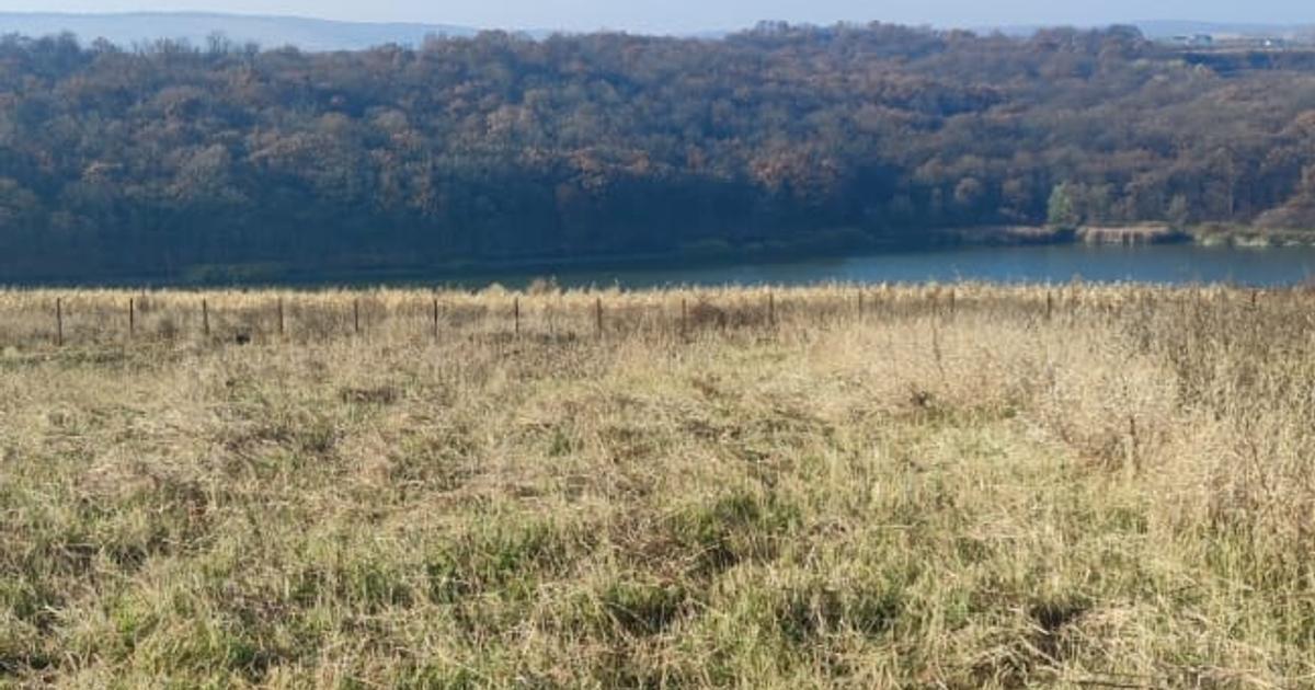 Teren Construcții intravilan de 1600 mp, în zona Sud, Botoșani