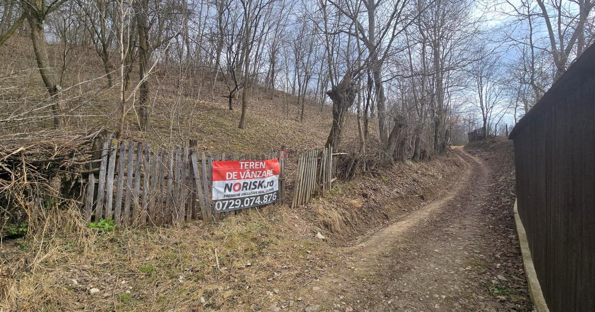 Oportunitate investitie teren  – Cerașu, Prahova | 3.485 mp | View spectaculos