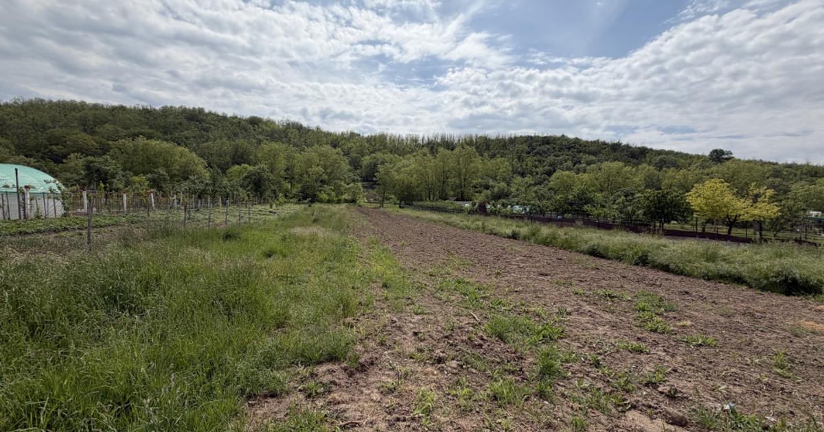 Teren Intravilan 3.514 mp | SAT CIUGUD | Oportunitate | TOATE UTILITATILE |