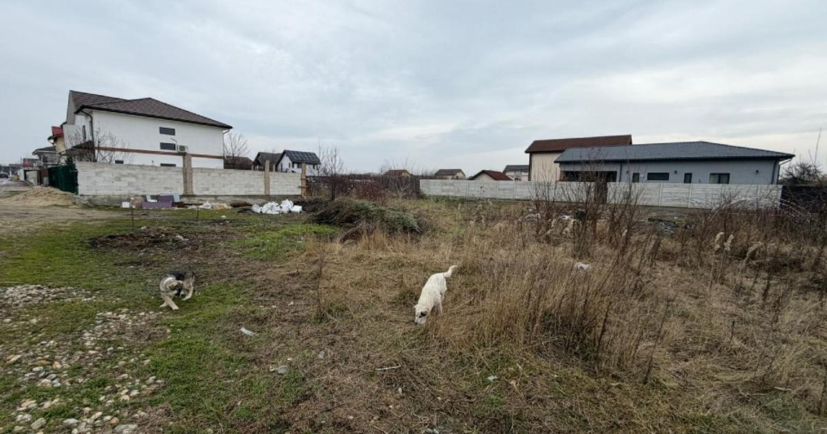 Teren Construcții intravilan de 550 mp, în Cornetu