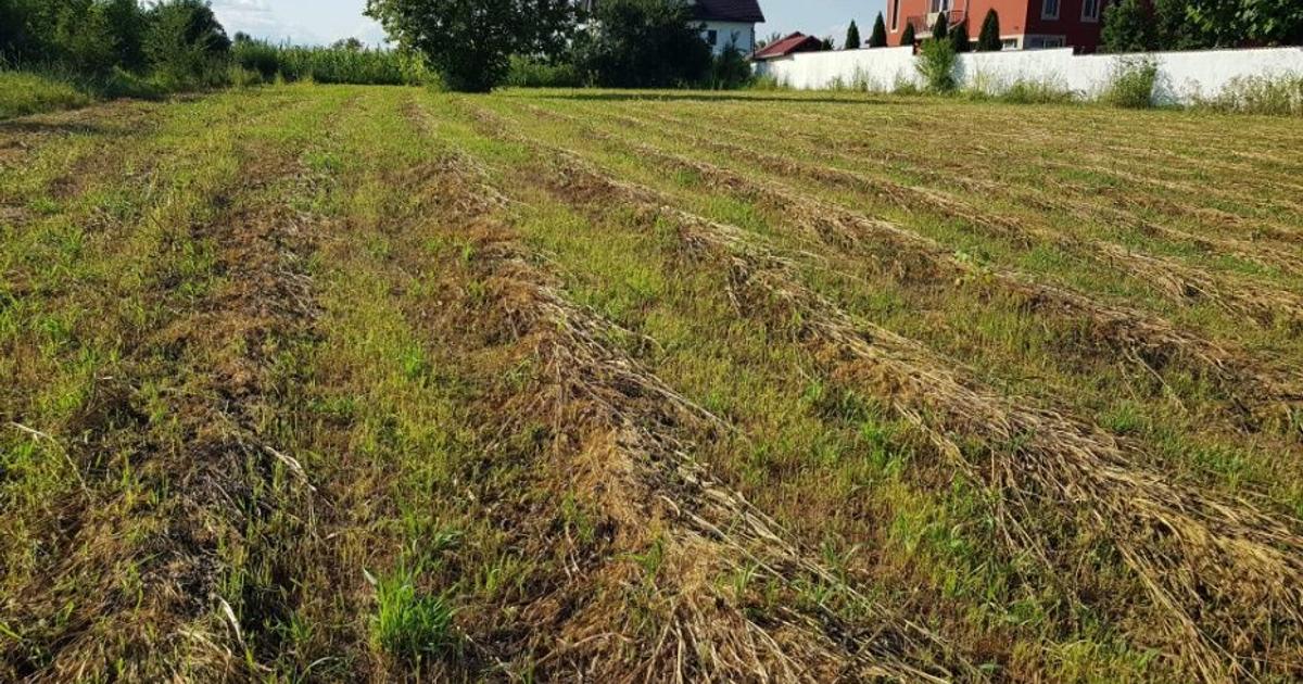 Teren intravilan de vanzare in Com. Adunatii Copaceni sat Darasti Vlasca jud GR.