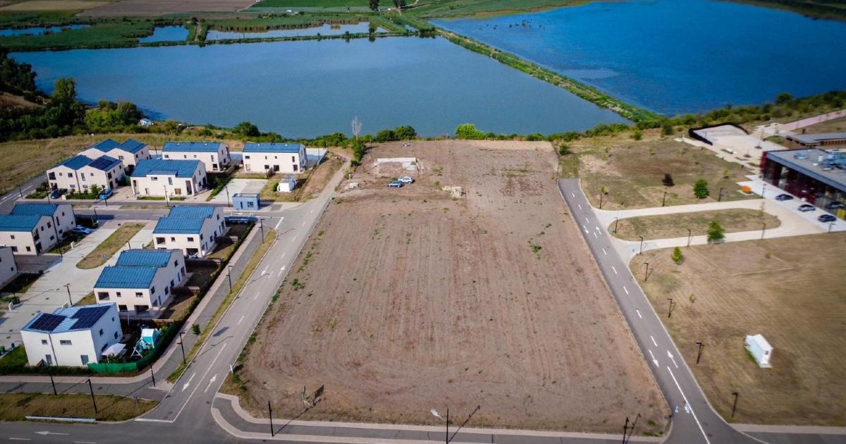 Teren Construcții intravilan de 6000 mp, în Frumușani