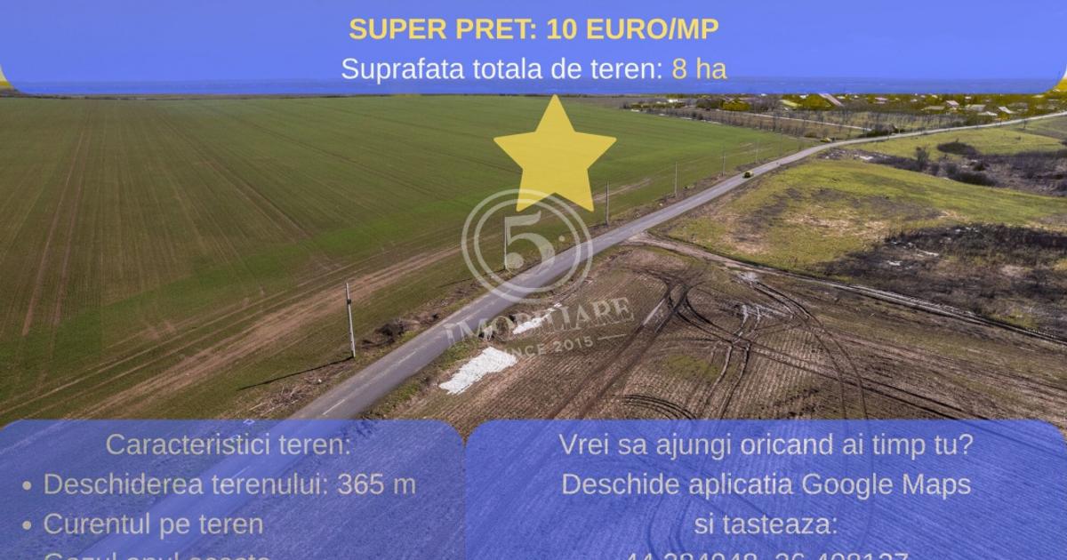 Oportunitate Investițională: Teren 8 Ha – Nuci, Călărași