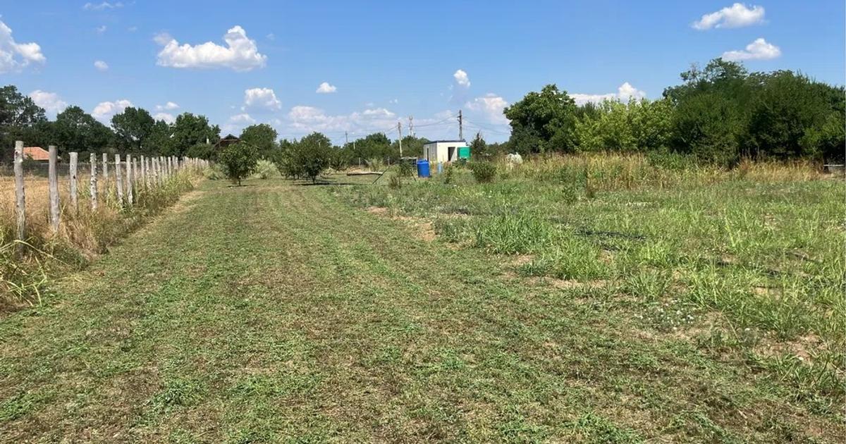 Teren 6.150 ml intravilan, parcelabil - Gradistea, Ilfov