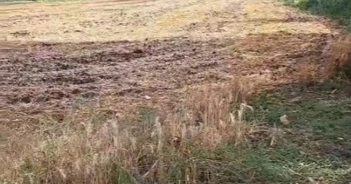 Teren Construcții intravilan de 1700 mp, în Grecii de Jos