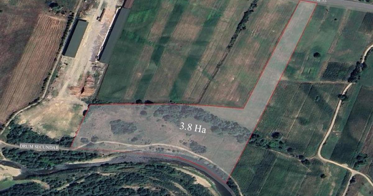 Teren Construcții intravilan de 38054 mp, în Groși