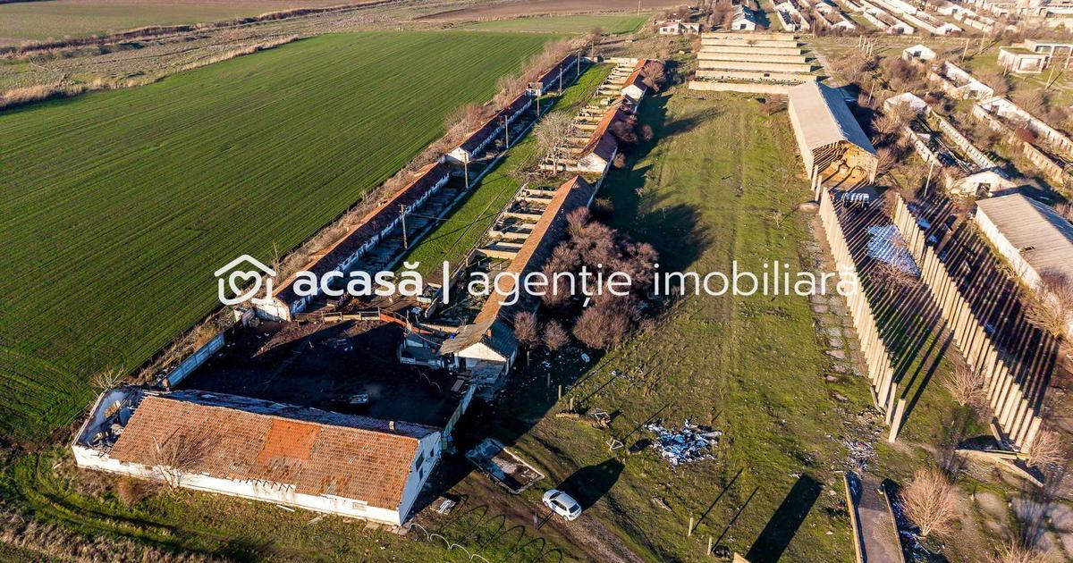 NĂDLAC | Teren 1.15 HA lângă Autostradă | 2.500mp Hale