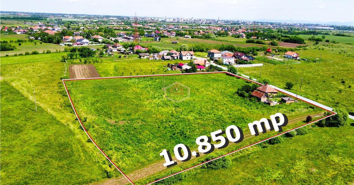 Teren generos si versatil - 10.850 mp | Balta Blonda | Diverse proiecte