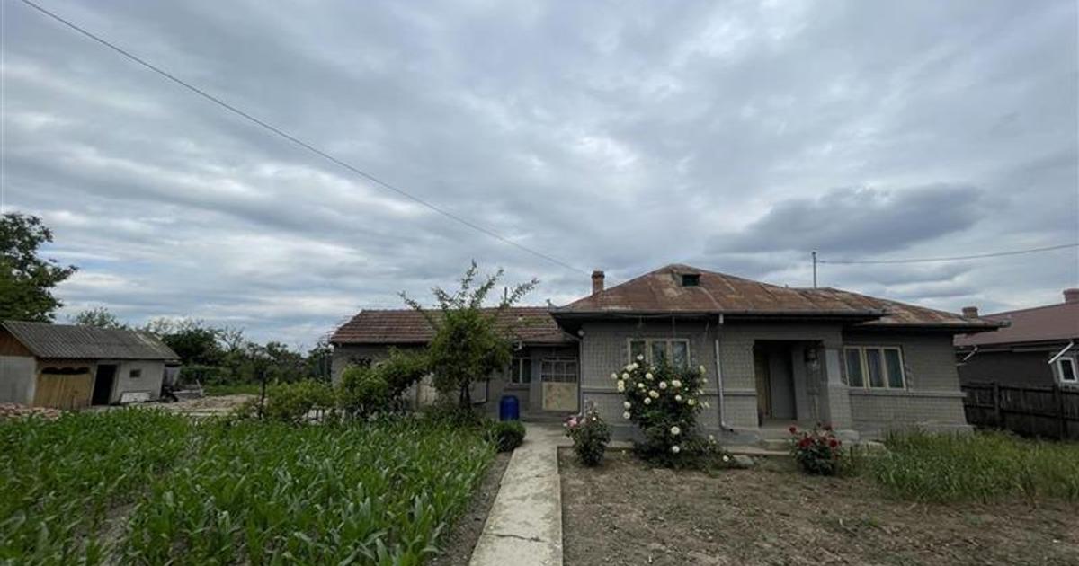 Vânzare Teren intravilan 1700mp  50km de Bucuresti Cosereni Ialomita