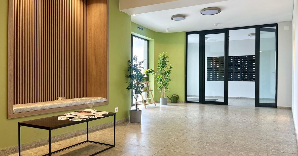 Eleganță la apus – apartament 3 camere, în zona Lipovei, lângă pădure