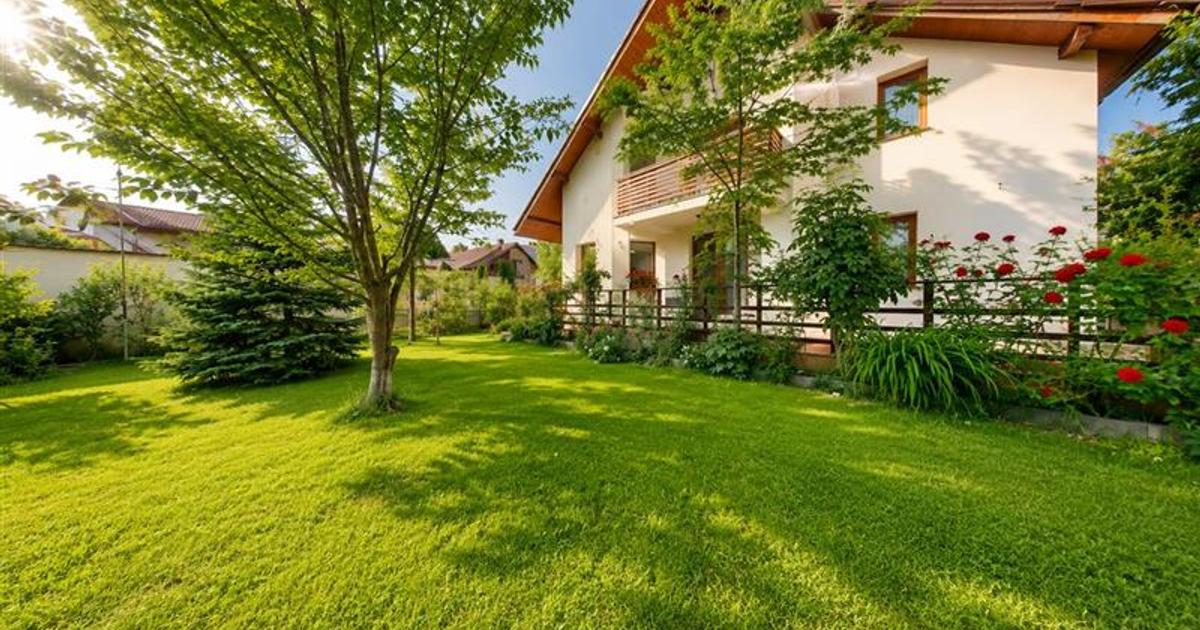 Vila cu dubla valoare, 606mp teren, terase: Resedinta si/sau Business Premium, T