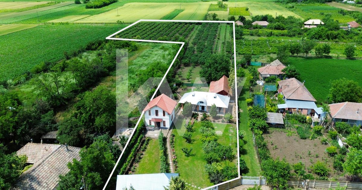 Casa noua+Casa batraneasca,Teren 7800 mp cu livada de 400 pruni, Comision 0%