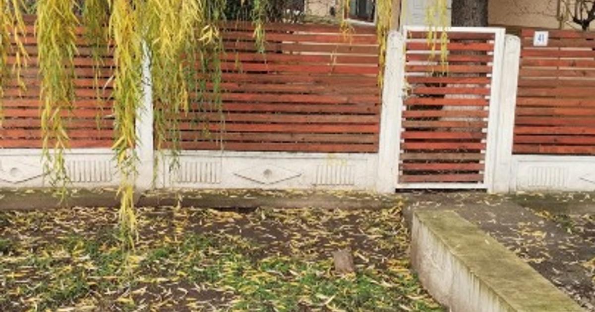 Casa Cotorca Glodeanu Silistea, Buzau  4 camere + baie + bucatarie
