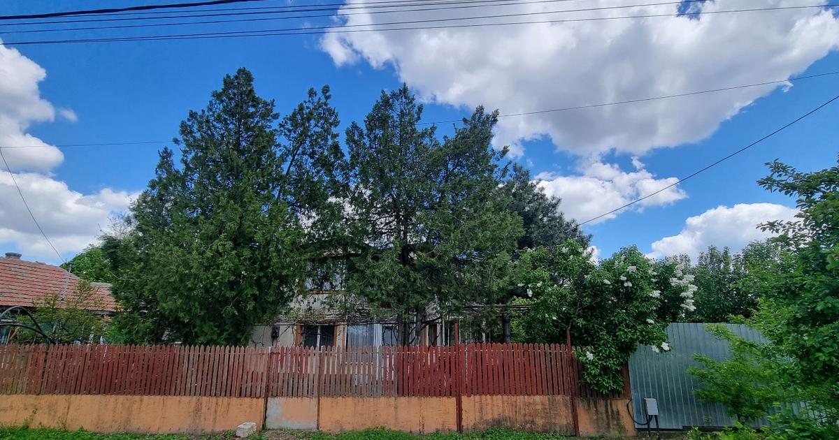 Vanzare casa comuna Dridu, jud, Ialomita