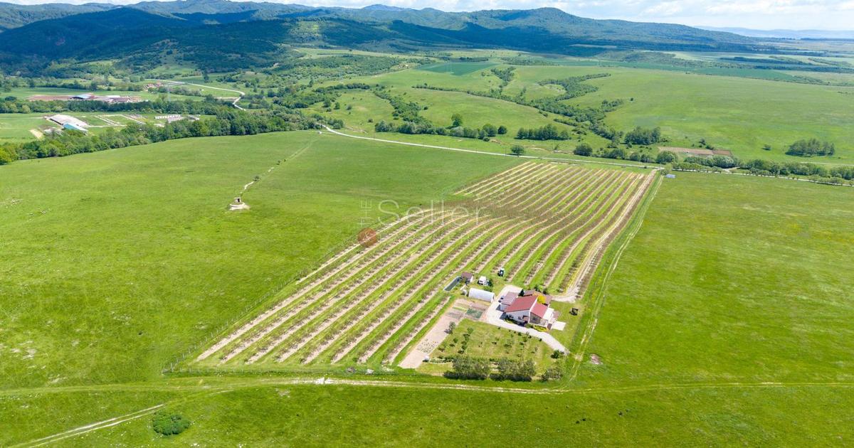 PROPRIETATE CU LIVADA MATURA DE NUCI SI POTENTIAL INVESTITIONAL