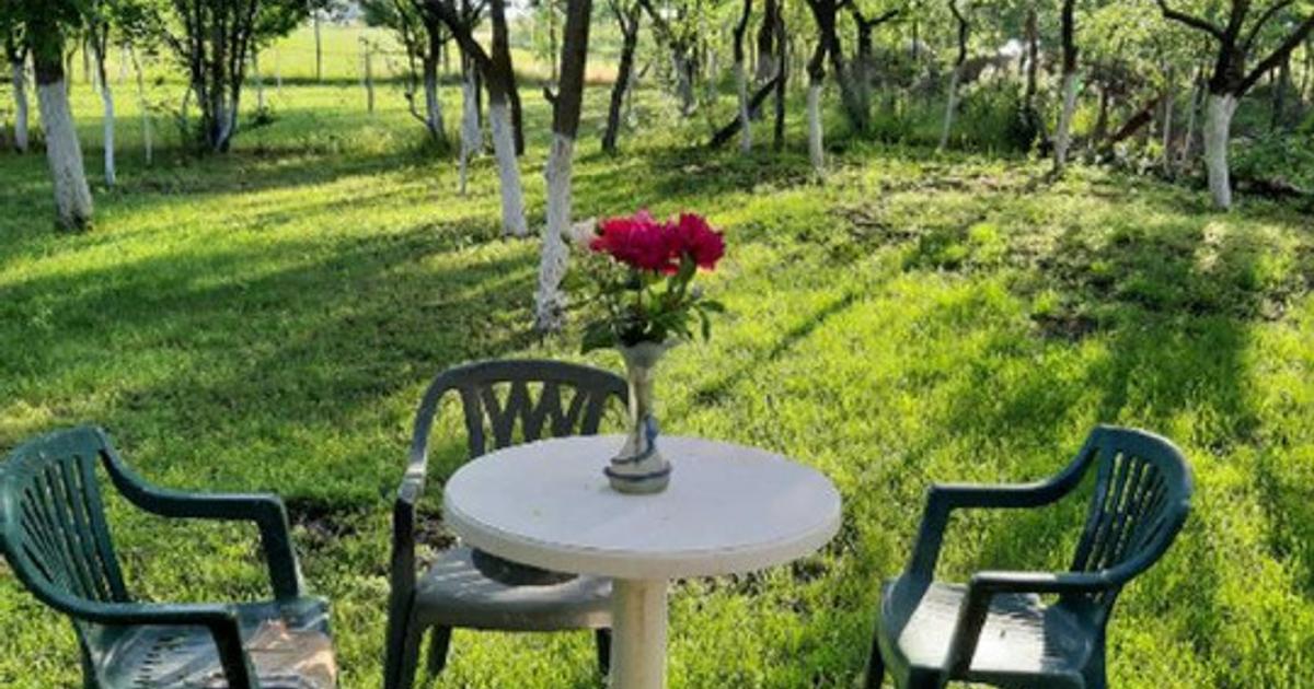 Casa de vanzare si teren 3600 mp Radomiresti
