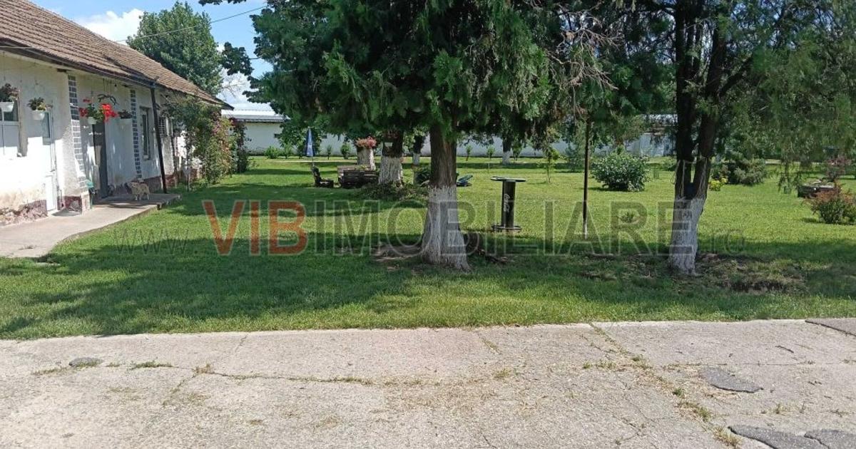 Afacere de vânzare: Fermă Creștere Pui – Ialomița la 60 km de București