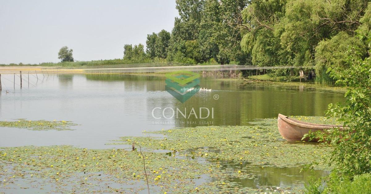 Oportunitate investitionala | Ferma piscicola 233 ha | Calarasi