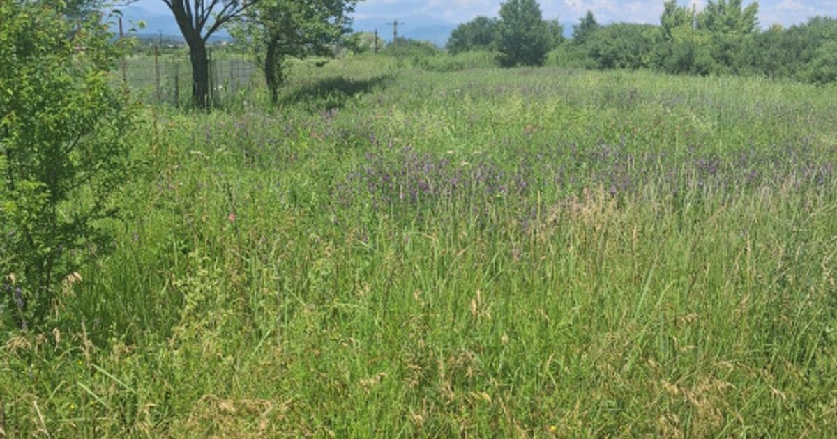 Teren extravilan 2.500 mp | Str. Ana Ipătescu, Târgu Jiu