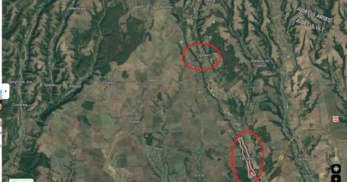 Terenuri extravilane jud Olt