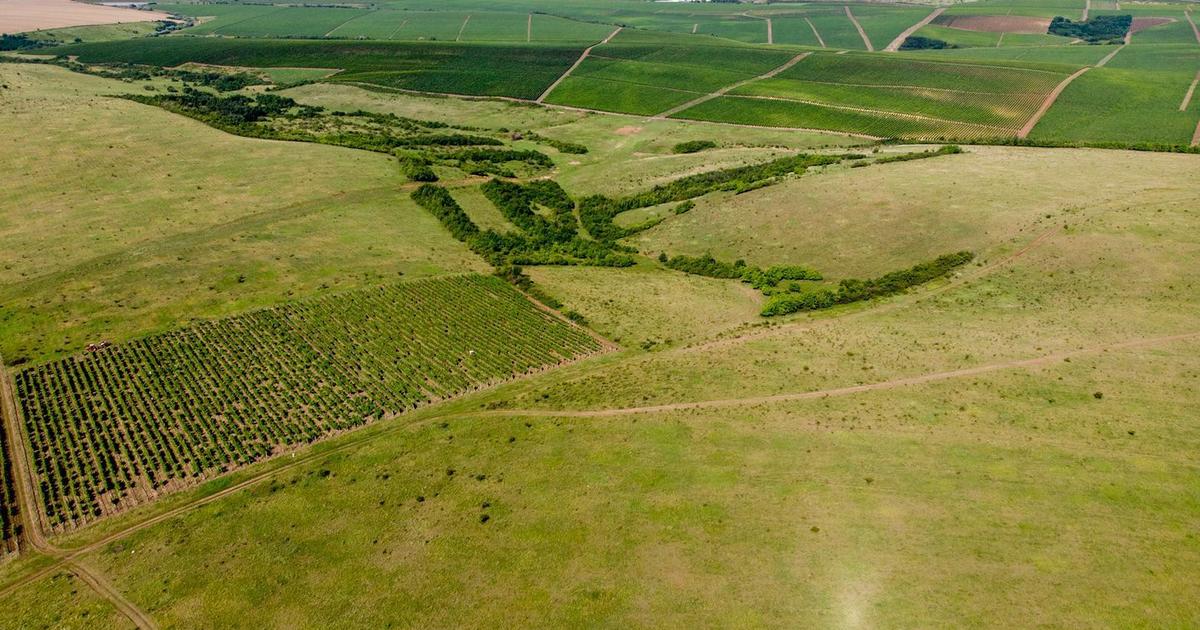 Teren arabil de 318 hectare în Teleorman