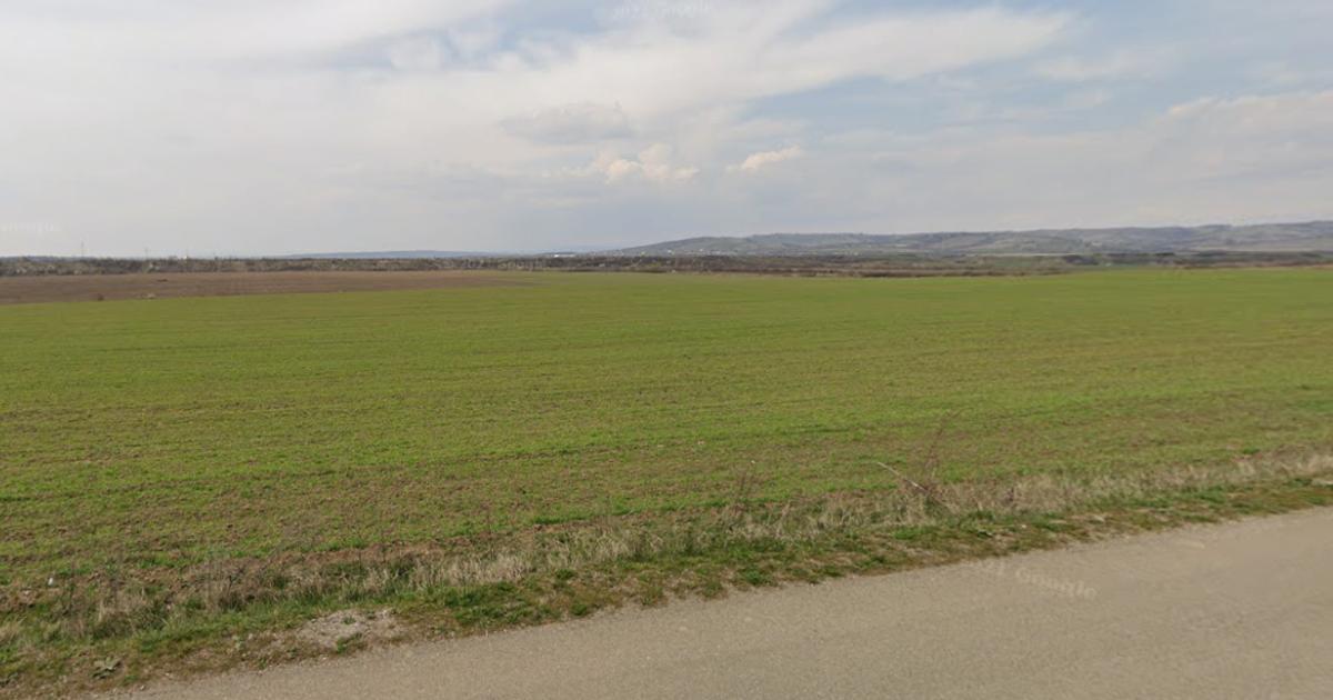 Teren Intravilan 1.73 Ha Bucov lângă Casa Timiș | Deschidere 70m la asfalt